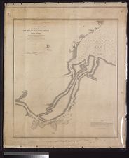 Mouths of Roanoke River, North Carolina triangulation and topography by R.E. Halter ; hydrography by J.S. Bradford, acting under orders of Actg. Rear Admiral S.P. Lee ...