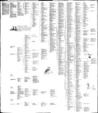 A Genealogical Chart of a Portion of the Rivers Family