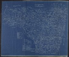 Lynch's complete map of Rutherford County, N.C. Lee W. Lynch.