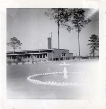untitled photograph