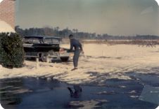 untitled photograph