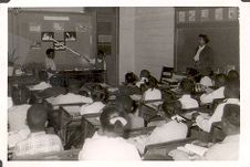 untitled photograph