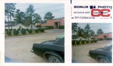 untitled photograph