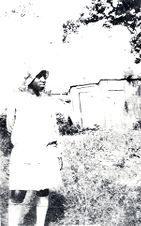 untitled photograph