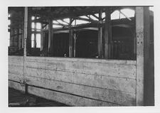 E. C. Winslow Livery Stables, Tarboro, N.C.