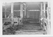 E. C. Winslow Livery Stables, Tarboro, N.C.