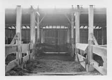 E. C. Winslow Livery Stables, Tarboro, N.C.