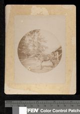 Item 37
