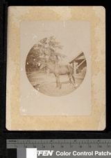 Item 38