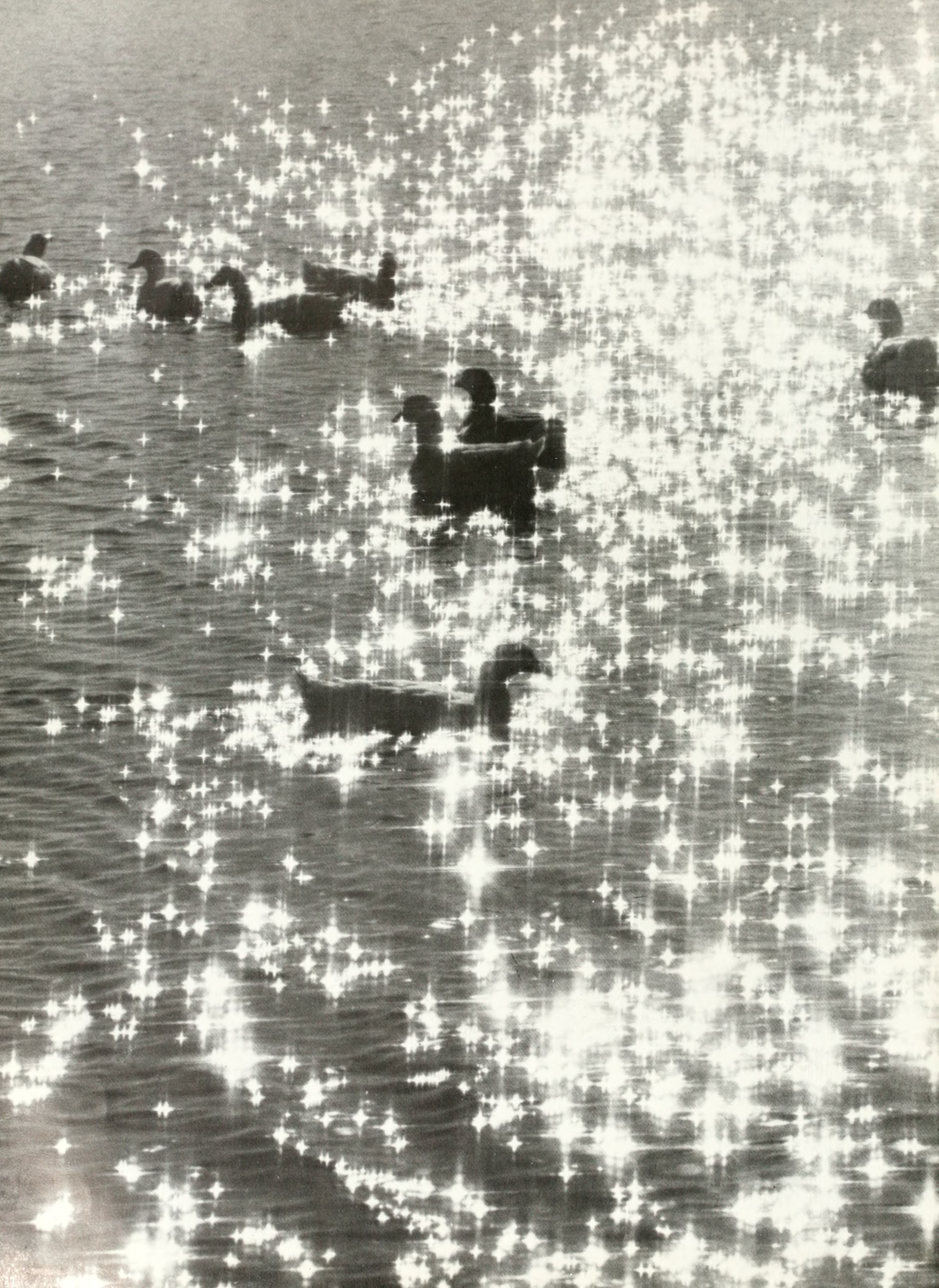 Digital Collections Text