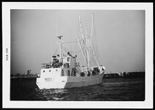 Trawler, Sheela L.