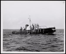 Pilot 11