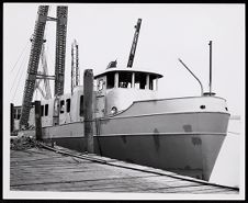 CG 65619