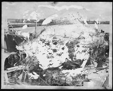 Unknown photo