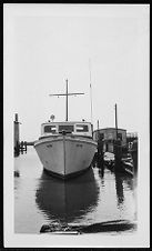 Bow View