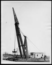 Crane