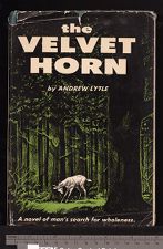 Front of book jacket for The velvet horn