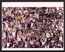 Fans at Football Game