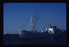 Sheela L, port