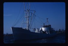 Sheela L, aft