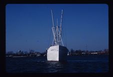 Sheela L, bow