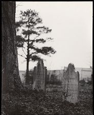 Tombstones in Old Town Cemetery