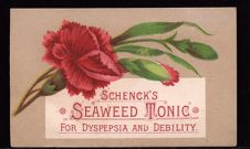 Schenck's Seaweed Tonic