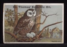 Dr. Thomas' Eclectric Oil