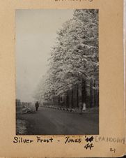 Silver frost, Camp Pinetree