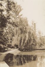 Lake at Davis Arboretum