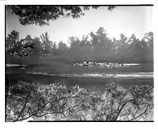 Remains of Civil War Confederate Camp Pool Neuse River Obstructions near Kinston, N.C.