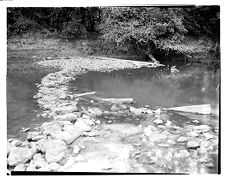 Remains of Civil War Confederate Camp Pool Neuse River Obstructions near Kinston, N.C.