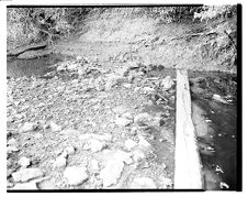 Remains of Civil War Confederate Camp Pool Neuse River Obstructions near Kinston, N.C.