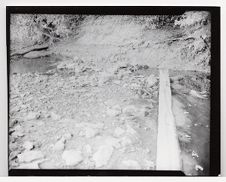 Remains of Civil War Confederate Camp Pool Neuse River Obstructions near Kinston, N.C.