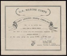 Special Services certificate for Captain Leo W. Jenkins 