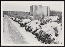 Snow on College Hill