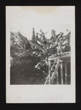 Photographs of Manila, Philippine Islands, and Palermo, Sicily, during WWII
