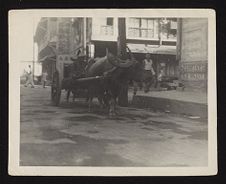 Photographs of Manila, Philippine Islands, and Palermo, Sicily, during WWII