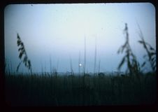 Smith Island, Cape Fear. Color photo. 