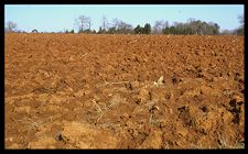 Red Clay of Piedmont. Color photo.