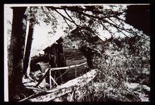Cabin. Black and white photo. 