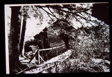 Tree across building. Black and white photo.