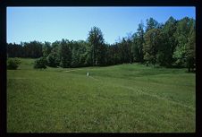 Alamance Battlefield. Color photo. 