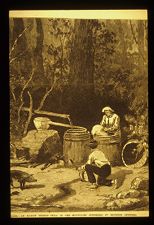 Illicit whiskey still