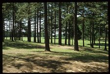 Landscape. Color photo. 