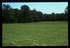 Alamance Battlefield. Color photo.