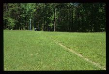 Landscape. Color photo. 