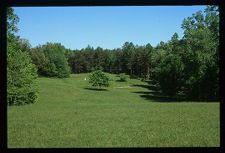 Landscape. Color photo. 