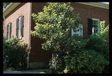 Brick building. Color photo.