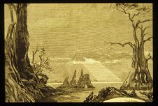 Great Dismal Swamp
